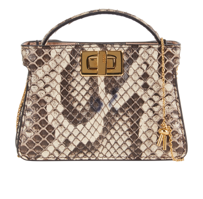 Nano Peekaboo Bag, front view